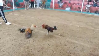 2 hits ulutan naka chamba mistiso line naten mga ka nokis