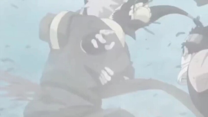 roasters fighter