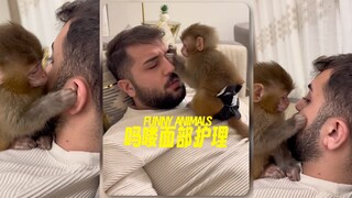 让吗喽来给你做一次面部护理（捉虱子bushi)