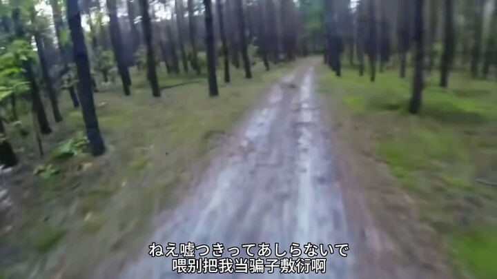 (*σ´∀`)σ The usually prickly and aloof senior Bear actually likes me (◦˙o˙◦)♡!!