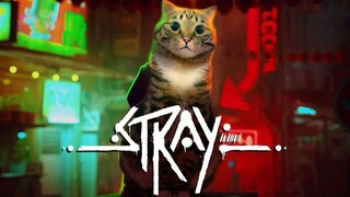 臭卷宝 惊悚游戏《Stray》实机宣传片