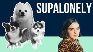 Supalonely but it's Doggos and Gabe