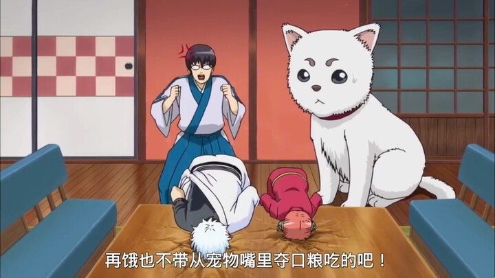 [Gintama] There is a famine in the House of All Things, starring Dingchun. Ginsang tells everyone a 