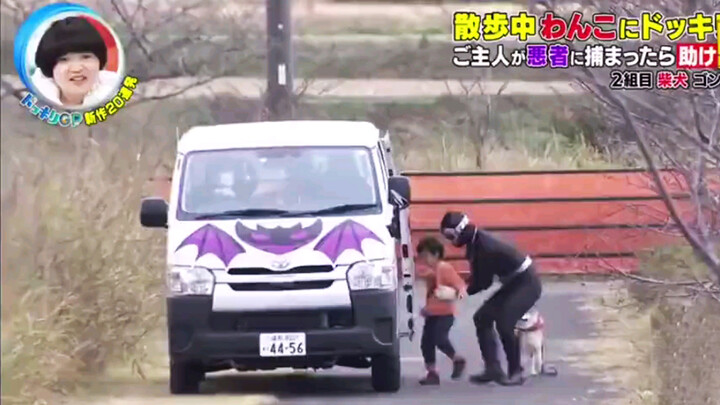 Dog Prank | Dog's Reaction After Seeing Its Master Get Kidnapped