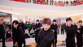 [Tuổi trẻ của tôi đã trở lại!] 13 người đã tái hiện lại chặng đua vô địch! 】Fear Poison-seventeen (k