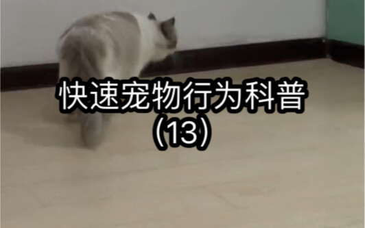 Sains Cepat tentang Perilaku Hewan Peliharaan.13