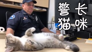 The cat who worked the night shift after being adopted by the police station is the real sheriff of 