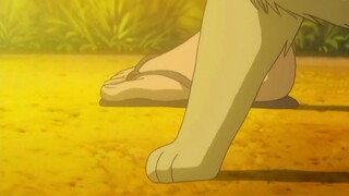 [Gintama] Bạn đã làm bạn thân của mình phải khóc