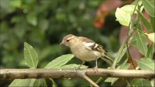 Praise and Worship Songs 2025  Best Morning Worship Songs Playlist  Top 100 Chri