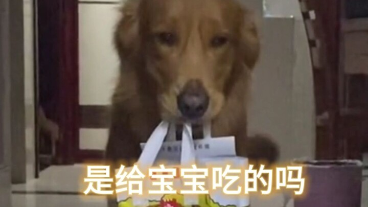 The puppy doesn’t understand why there are bad people in the world; all it knows is that its mom giv