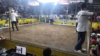 gilmore throwback win