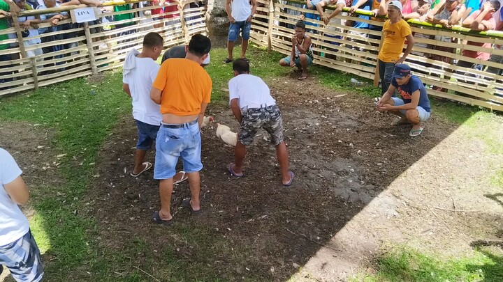 fiesta fun run 2x winner puti win