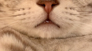 Xiao Wang's eyes are literally turning round online...