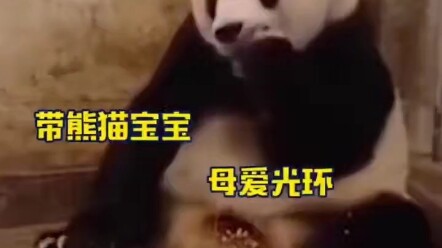 ฮ่าๆ ทำงานขยันขันแข็งเพื่อเป็นสมบัติล้ำค่าของชาติ!