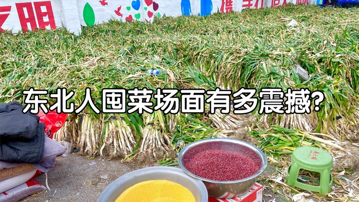 Let’s take a look at how people in Northeast China stock up on autumn vegetables—just piling it all 