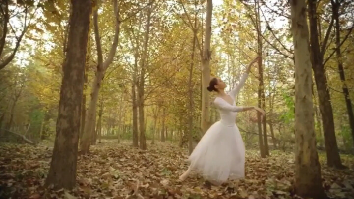 My ballet film was taken in Beijing last autumn. It was a beautiful season. I hope that through the 