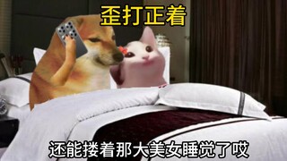 属实是歪打正着了