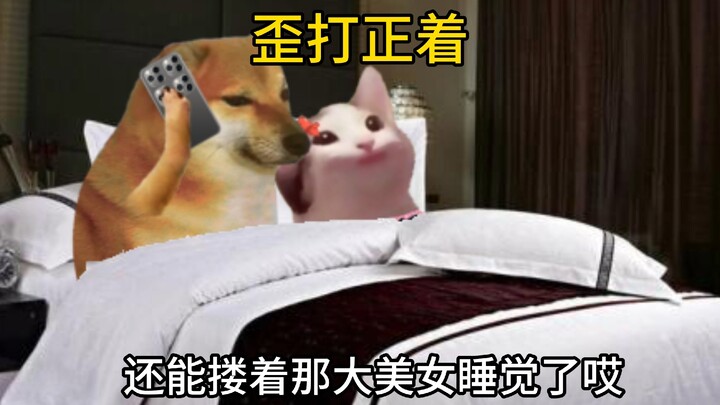 属实是歪打正着了