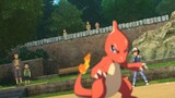 Xiaozhi captured the abandoned Charmander! After evolving into Charmeleon, he fought against his for