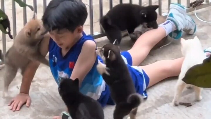 Anak kecil dan anjing kecilnya