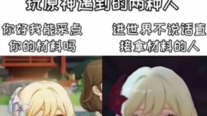 Two Types of People You Meet While Playing Genshin Impact