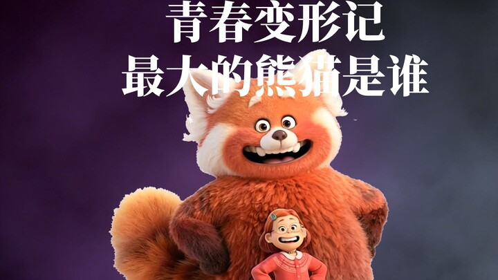 Bạn có phát hiện ra rằng trong “Tuổi Thanh Xuân Biến Hình” con gấu trúc đỏ của mẹ trông to hơn hẳn k