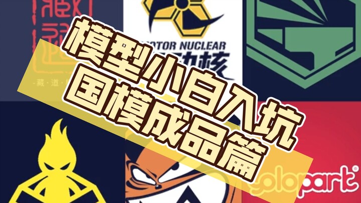 模型小白入坑指南之国模成品篇