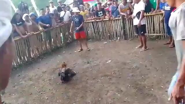 1x winner na si native hehe 2nd fight. dalawa tari ng kalaban