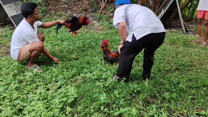 blacktravelers VS melsims hatch/gary giliam roundhead