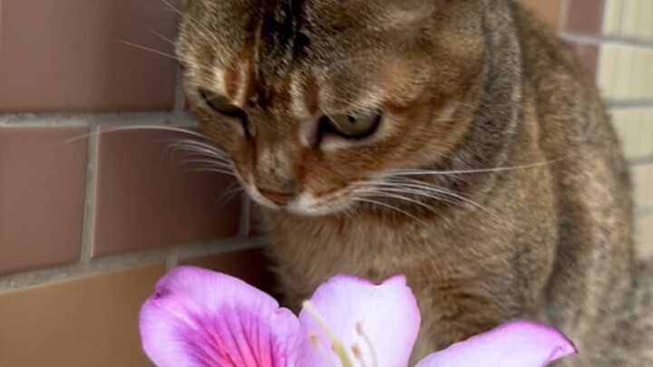 It's hard to refuse such kindness.