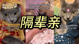 当你的小猫有个印度姥姥——