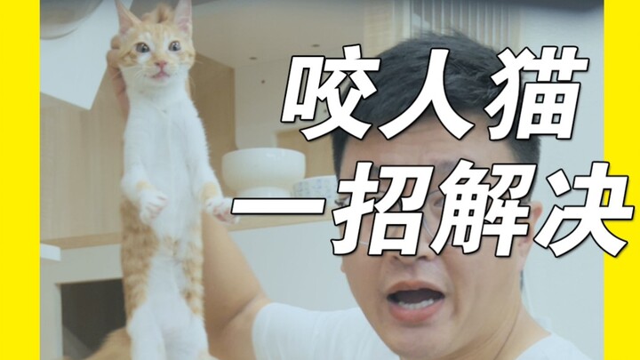 Kucing yang suka menggigit bisa berubah hanya dengan dua kalimat! Kalian manusia salah paham tentang