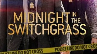 Midnight in the switchgrass