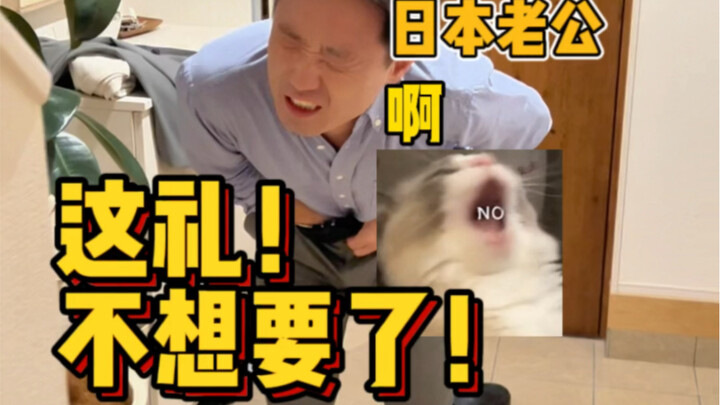 Vẫn không hiểu nổi sao lại không có hộp??? 😑 Con mèo nhà tôi cũng thuộc dạng cực phẩm