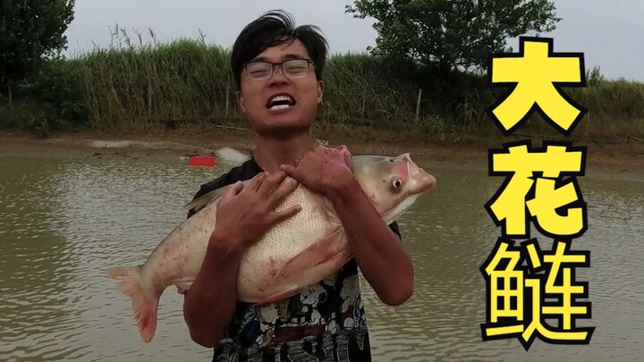 There are so many big fish hidden in the ordinary pond bottom. I almost missed them.