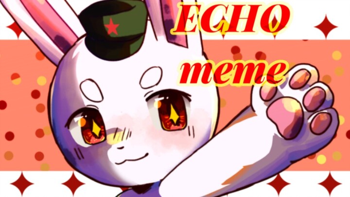 [Thỏ đó·Thỏ/Năm con thỏ/Hoạt hình] Echo Meme ※Những điều về con thỏ năm đó ※Chất lượng thấp