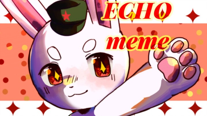 【那兔·兔子/兔年贺/动画】Echo Meme ※那年那兔那些事儿※低质