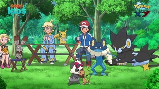 pokemon xy 79 (263) h
