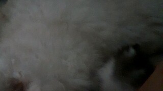 amazing relationship