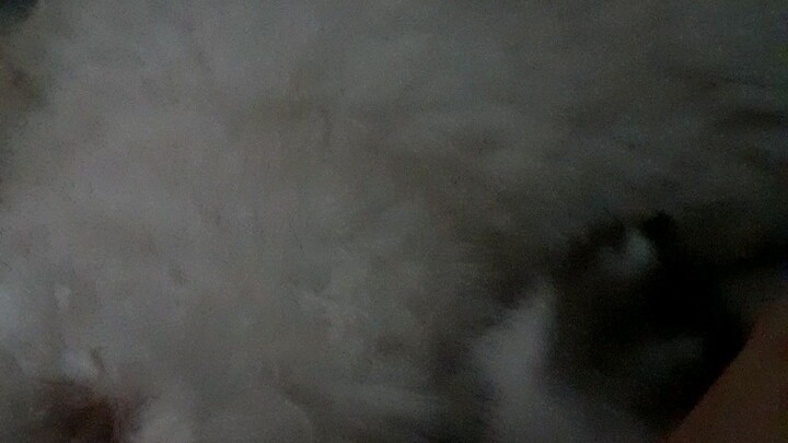 amazing relationship