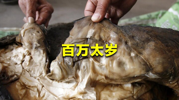 What Exactly Is the Million-Dollar “Taisui”? What’s It Used For? Scientists’ Lab Tests Reveal the An