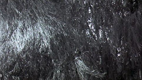 A Bittersweet Life full movie (2005) | lee byung-hun | ABDUL Ahad