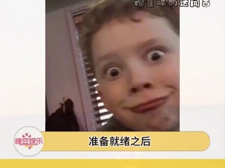 แมวก็ต้องไหว้บรรพบุรุษด้วย