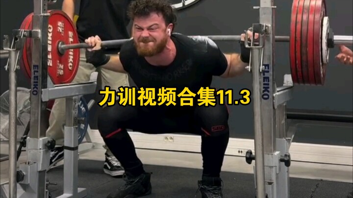 Strength Training Video Compilation 11.3