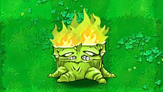 Cây mới: Gốc cây tách đôi