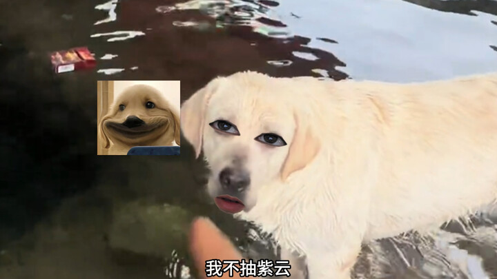 เจ้าตูบ: ขอโทษนะ ผมไม่สูบบุหรี่