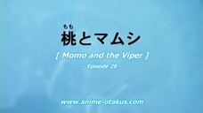 Prince of Tennis Ep 29