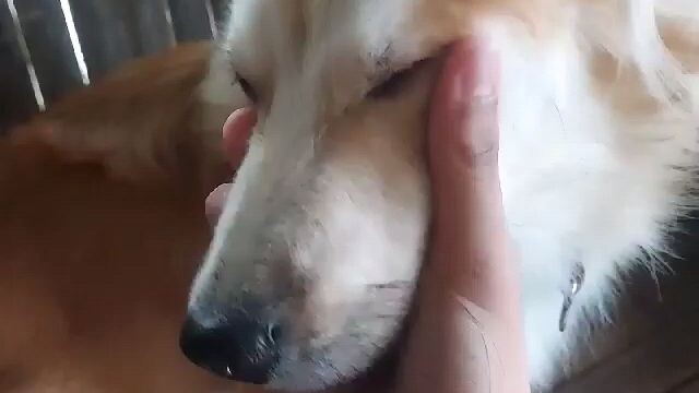 my baby mochie