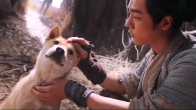 [Chinese pastoral dog Zhu Xian movie] Special feature of Zhang Xiaofan played by Xiao Zhan, there is