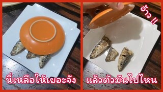 แฟนเหลือกับข้าวให้เยอะจัง แล้วตัวมันไปไหนเนี้ย !! ( รวมฮาพากย์ไทย )